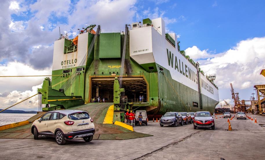 É líder na exportação de óleo vegetal e frango congelado, tem a maior capacidade em contêineres do país. É o segundo porto brasileiro na exportação de soja, farelo, açúcar, papel, carnes, álcool e veículos.