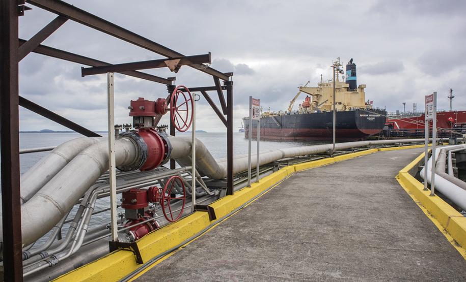 Seguindo o cenário do mês de janeiro, os segmentos que mais cresceram, em volume movimentado, foram Granel Líquido e Carga Geral. De cargas líquidas, registra-se 1,14 milhão de toneladas, na importação e exportação. O volume é 21% maior que as 946,5 mil toneladas do bimestre de 2019.