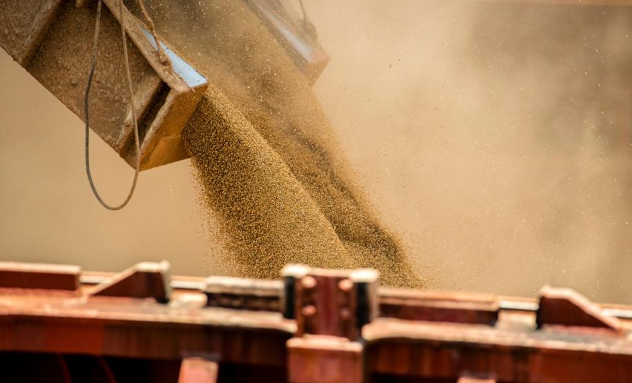 A Portos do Paraná espera atracar até o fim de abril 115 navios. Porto de Paranaguá mantém operações com cuidados de segurança.