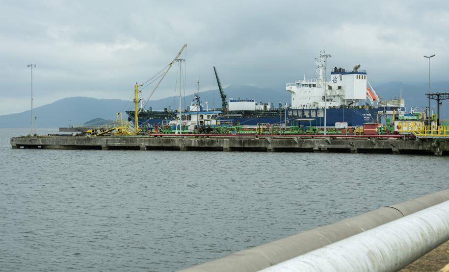 Setor se mantém aquecido, mesmo com a pandemia do coronavírus. Em abril os dados iniciais apontam para um aumento de 12% no volume de exportado. Já são 73,3 mil toneladas, ante 65,5 mil comercializadas no mesmo mês de 2019.