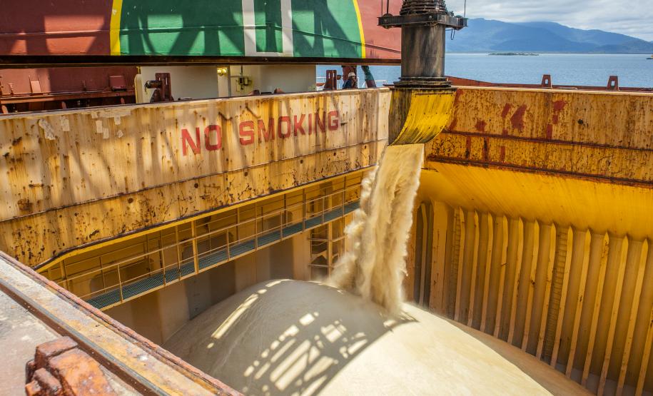 De açúcar a granel, o volume esperado para os próximos três meses é de 1,45 milhão de toneladas nos próximos três meses. O projetado é 74,74% maior que as 829.791 toneladas exportadas do produto, em 2019, de julho a setembro.