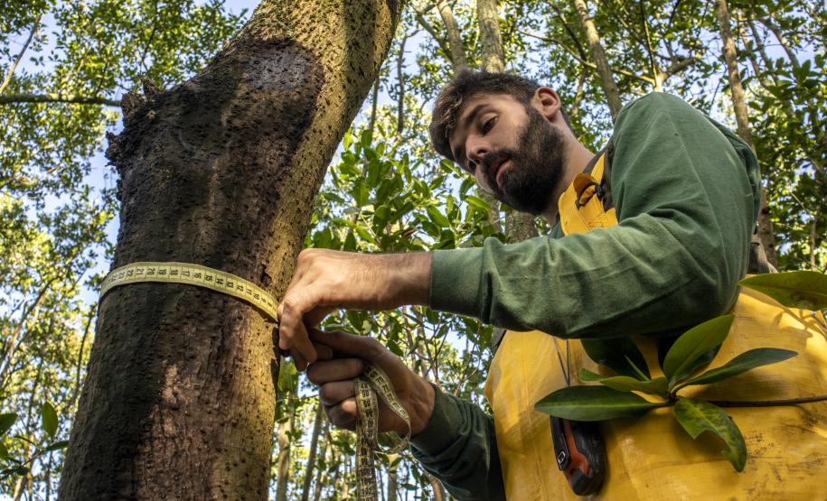 “É uma maneira mais humana de enxergar o meio ambiente, promover o empoderamento desses povos, através do uso de energias renováveis, da ciclagem de nutrientes, da redução de descarte de resíduos sólidos, entre outros.”