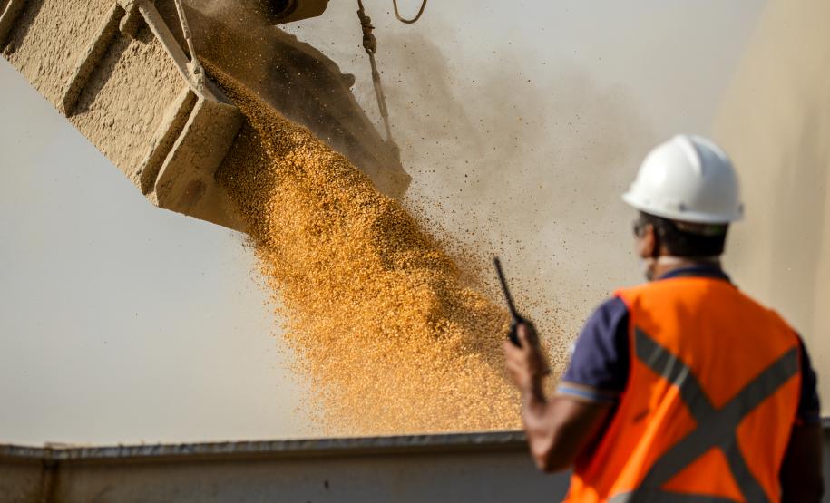Portos de Paranaguá e Antonina movimentaram 28,1 milhões de toneladas de cargas entre janeiro e junho de 2020. Exportações tiveram o maior crescimento: 18%, no período. Cerca de 18,5 milhões de toneladas de cargas saíram do Brasil pelos portos paranaenses.