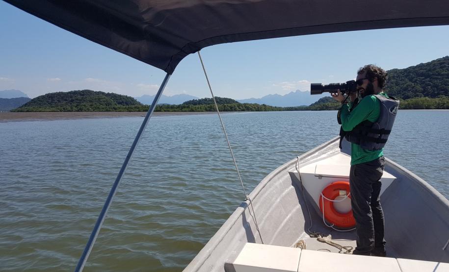 Monitoramento avifauna