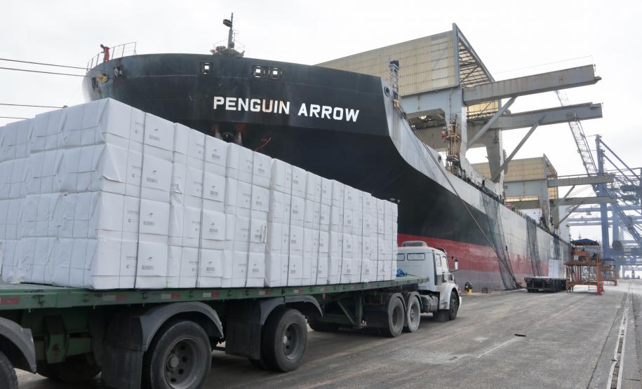 O Penguin Arrow veio receber o 2° maior lote de celulose já embarcado pela Klabin no Porto de Paranaguá: 45.758 toneladas, que irão para a China. Mas não é só isso...Em um dos porões, a embarcação traz malte. Então, o carregamento da carga geral e a descarga do granel ocorrerão de forma simultânea, em algum momento da operação que deve levar cerca de três dias.