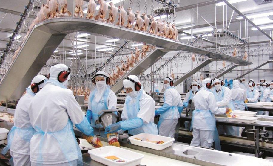 O governador Carlos Massa Ratinho Junior se reuniu nesta terça-feira (1º) com a nova diretoria do Sindicato das Indústrias de Produtos Avícolas do Estado do Paraná. O Estado responde por 36% da produção nacional e é o principal exportador de carne de frango do Brasil.