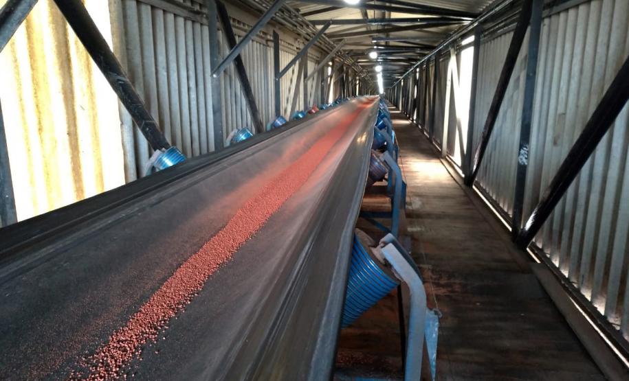 Trabalho é executado semestralmente, dando maior credibilidade e segurança nos volumes exportados através dos portos do Paraná. Os Portos de Paranaguá e Antonina já movimentaram neste ano 38,67 milhões de toneladas.