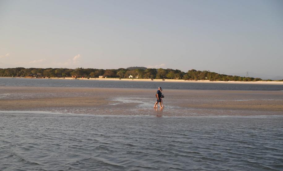 Neste 29 de setembro, quando é celebrado o Dia Mundial do Coração, a Secretaria de Estado da Saúde alerta a população sobre a importância de manter hábitos saudáveis, como boa alimentação, atividade física e combate ao estresse para evitar doenças do aparelho circulatório.