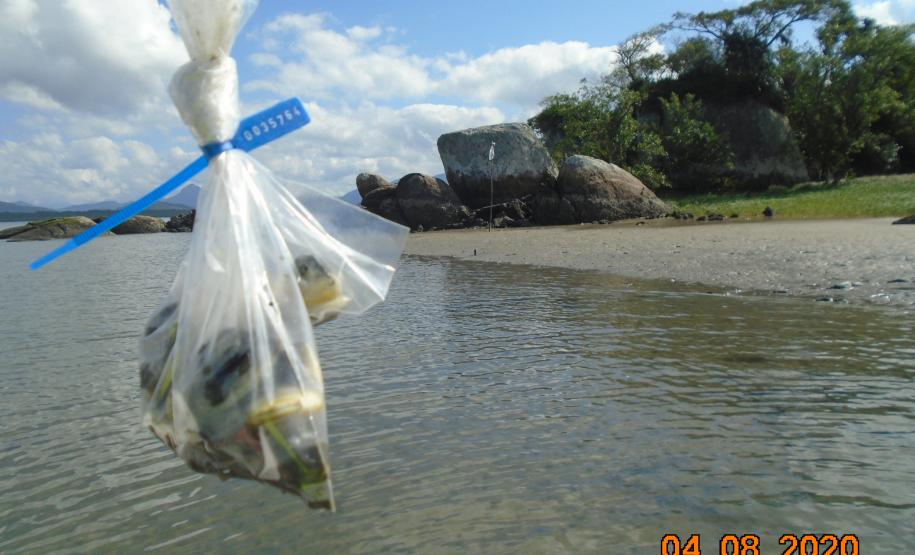 Pandemia da COVID-19 não prejudicou as operações nos Portos do Paraná e o cuidado com a natureza continua. Todos os programas que envolvem as licenças para o funcionamento dos portos de Paranaguá e Antonina foram mantidos e, nas últimas semanas, a empresa pública que administra a atividade portuária no Estado realizou uma série de ações de cuidado com a vida marinha