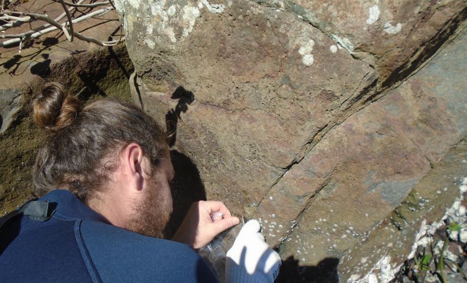 Pandemia da COVID-19 não prejudicou as operações nos Portos do Paraná e o cuidado com a natureza continua. Todos os programas que envolvem as licenças para o funcionamento dos portos de Paranaguá e Antonina foram mantidos e, nas últimas semanas, a empresa pública que administra a atividade portuária no Estado realizou uma série de ações de cuidado com a vida marinha