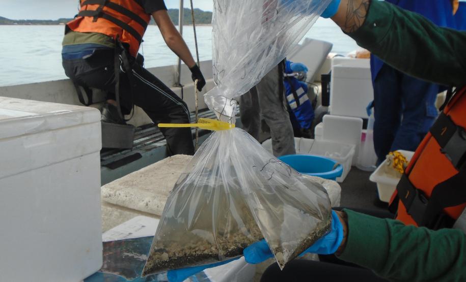 Pandemia da COVID-19 não prejudicou as operações nos Portos do Paraná e o cuidado com a natureza continua. Todos os programas que envolvem as licenças para o funcionamento dos portos de Paranaguá e Antonina foram mantidos e, nas últimas semanas, a empresa pública que administra a atividade portuária no Estado realizou uma série de ações de cuidado com a vida marinha