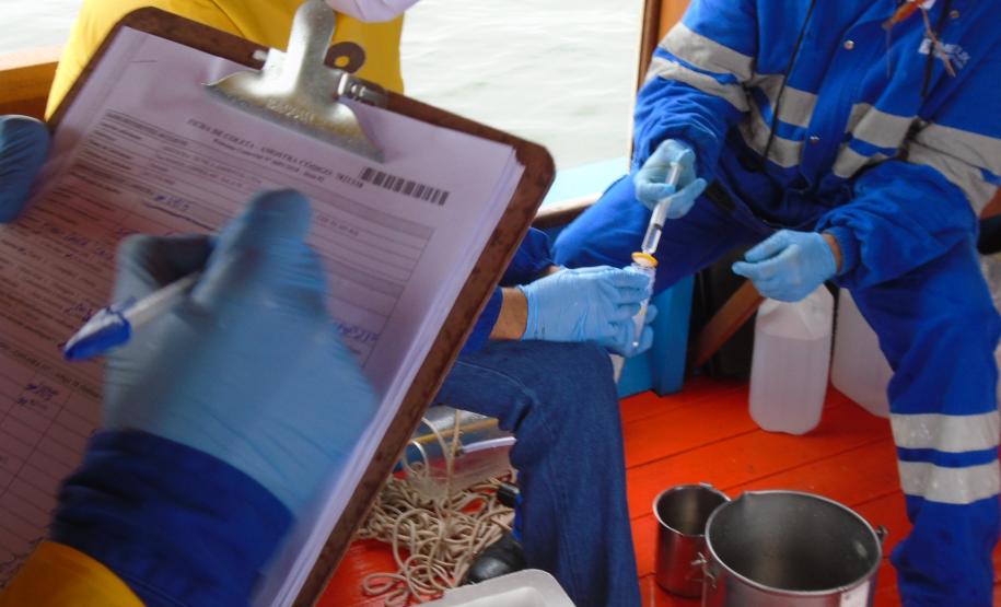 Pandemia da COVID-19 não prejudicou as operações nos Portos do Paraná e o cuidado com a natureza continua. Todos os programas que envolvem as licenças para o funcionamento dos portos de Paranaguá e Antonina foram mantidos e, nas últimas semanas, a empresa pública que administra a atividade portuária no Estado realizou uma série de ações de cuidado com a vida marinha