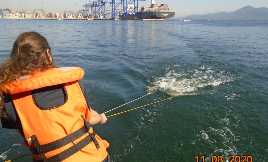 Pandemia da COVID-19 não prejudicou as operações nos Portos do Paraná e o cuidado com a natureza continua. Todos os programas que envolvem as licenças para o funcionamento dos portos de Paranaguá e Antonina foram mantidos e, nas últimas semanas, a empresa pública que administra a atividade portuária no Estado realizou uma série de ações de cuidado com a vida marinha