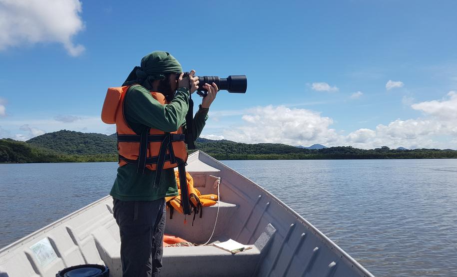 Pandemia da COVID-19 não prejudicou as operações nos Portos do Paraná e o cuidado com a natureza continua. Todos os programas que envolvem as licenças para o funcionamento dos portos de Paranaguá e Antonina foram mantidos e, nas últimas semanas, a empresa pública que administra a atividade portuária no Estado realizou uma série de ações de cuidado com a vida marinha