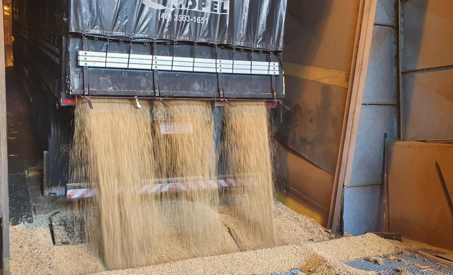 Quantidade embarcada pelo Corredor de Exportação do Porto de Paranaguá nos últimos oito meses já supera em 5,1%, o total exportado nos doze meses do ano passado. De janeiro a agosto de 2020, foram quase 11,15 milhões de toneladas exportadas do grão.