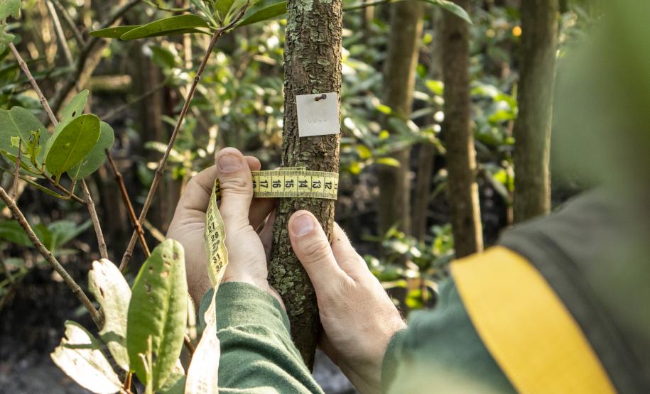 Profissionais atuam nos programas na área de Meio Ambiente, nos portos de Paranaguá e Antonina. A empresa pública mantém 20 iniciativas de monitoramento e conservação e é reconhecida internacionalmente pelas ações de cuidado com a sustentabilidade.