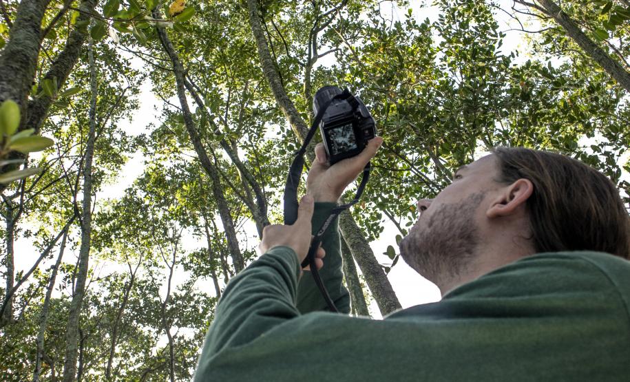 Profissionais atuam nos programas na área de Meio Ambiente, nos portos de Paranaguá e Antonina. A empresa pública mantém 20 iniciativas de monitoramento e conservação e é reconhecida internacionalmente pelas ações de cuidado com a sustentabilidade.