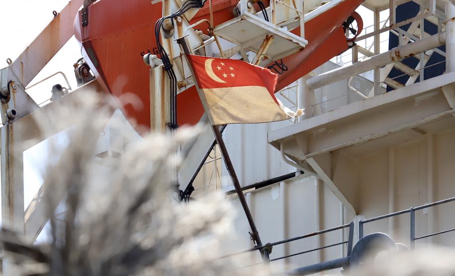 Portos do Paraná já receberam navios de 48 nacionalidades em 2020