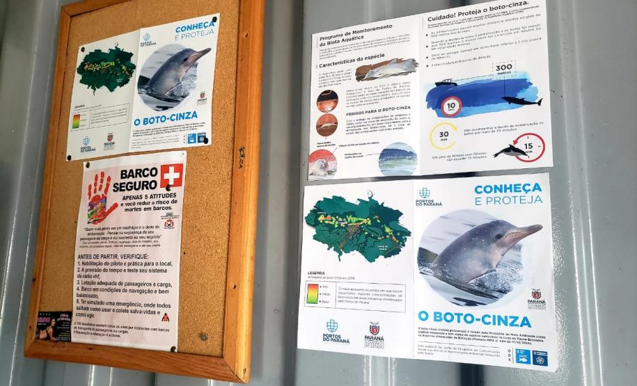 O cuidado com animais marinhos que vivem na área dos portos de Paranaguá e Antonina é o tema de uma nova campanha da Portos do Paraná. A empresa pública, em conjunto com a Cia Ambiental, desenvolveu uma cartilha para orientar embarcações sobre como agir ao encontrar grupos de botos-cinza durante a navegação.