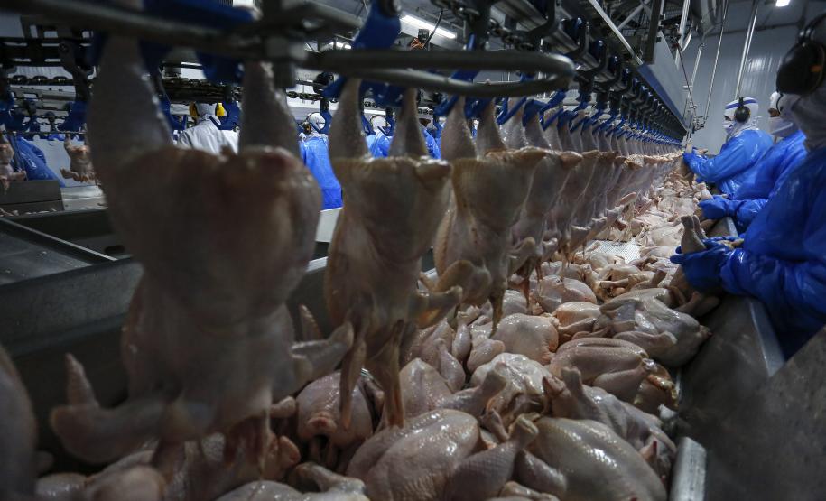 Mesmo com pandemia, indústria alimentícia paranaense cresce 9,4% no ano