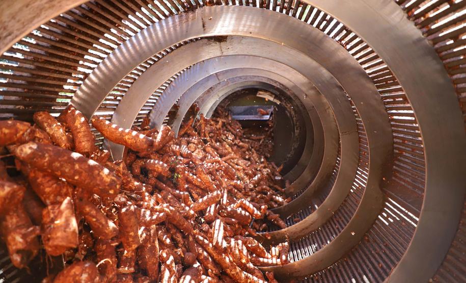 Mesmo com pandemia, indústria alimentícia paranaense cresce 9,4% no ano