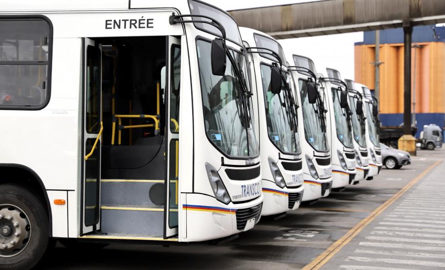 São 155 ônibus em uma única operação. Veículos de transporte coletivo serão levados para os portos de Boma, no Congo, e Luanda, em Angola. A operação é feita no cais público, pela empresa Marcon.