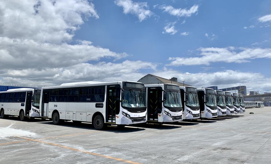São 155 ônibus em uma única operação. Veículos de transporte coletivo serão levados para os portos de Boma, no Congo, e Luanda, em Angola. A operação é feita no cais público, pela empresa Marcon.