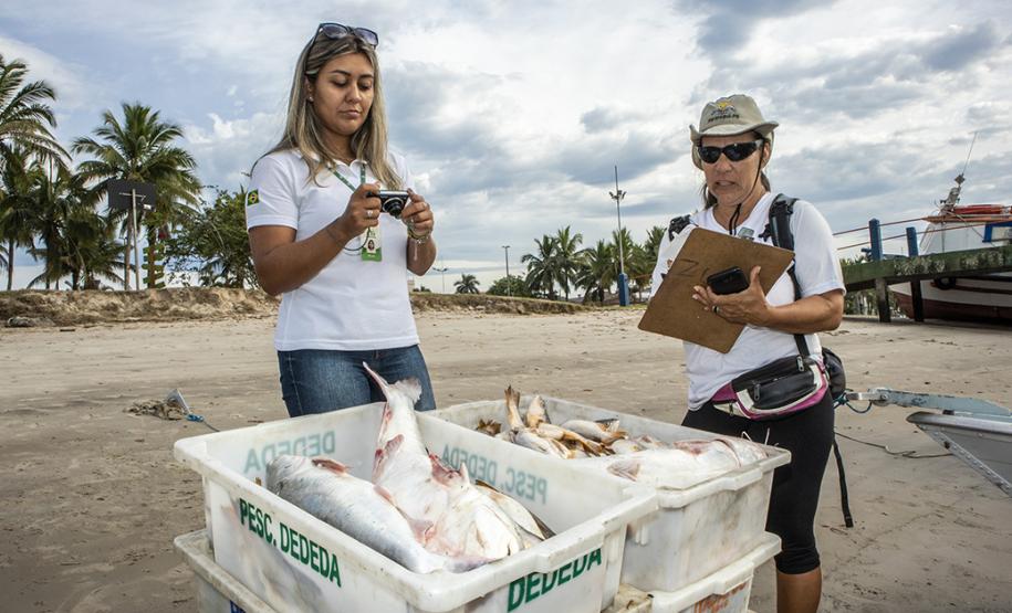 São mais de 20 programas. Além de diretoria específica, com biólogos e engenheiros ambientais, porto conta com uma empresa contratada exclusivamente para as ações de meio ambiente.