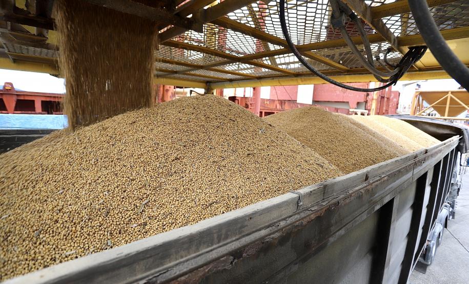 O navio Discoverer, de bandeira das Ilhas Marshall, tem 179,9 metros de comprimento por 28,4 metros de largura (boca). A embarcação tem cinco porões. A previsão de duração da operação é de cinco dias, com produtividade de 6.000 toneladas por dia, dependendo das condições meteorológicas, já que com chuva o produto não é descarregado.