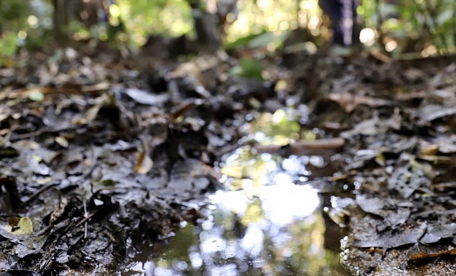 Estiagem comprometeu o abastecimento de comunidades e ilhas. Ação é realizada no âmbito de licenciamento ambiental do Porto de Paranaguá