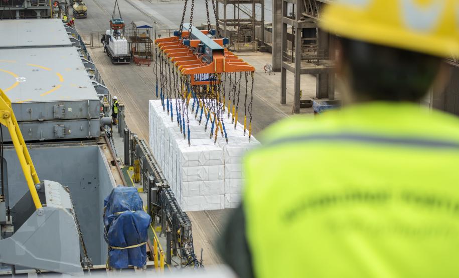 Comemorada no dia 28 de janeiro, a data ressalta o trabalho de mais de 3,1 mil homens e mulheres que atuam nos portos do Paraná. Enquanto muitos puderam desempenhar as funções remotamente, esses trabalhadores seguiram na ponta para garantir o movimento de cargas.