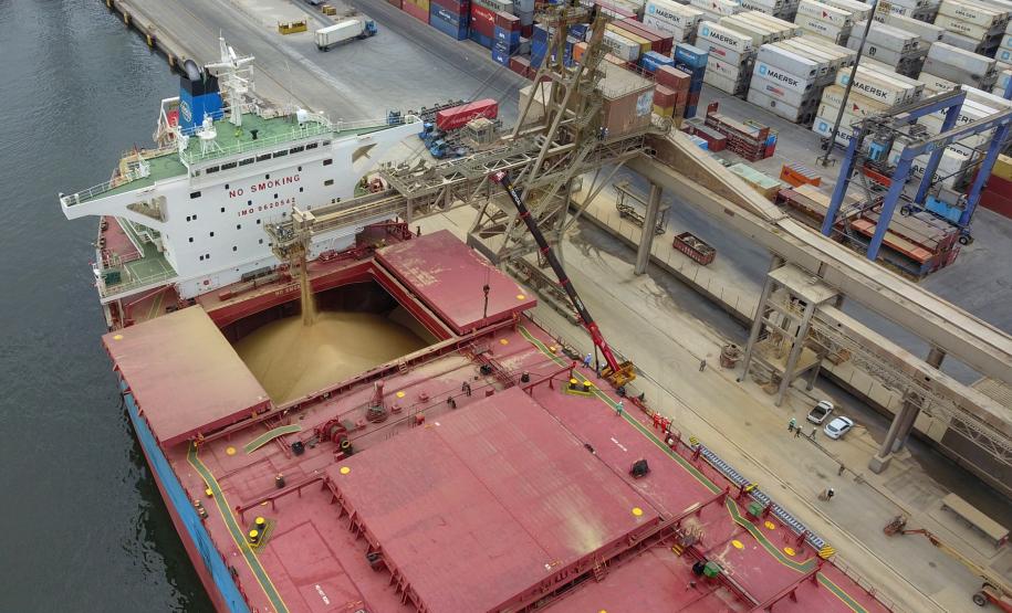 Estado mantém a 3ª posição no ranking nacional das exportações do setor em 2020. O Brasil somou US$ 100,81 bilhões no ano passado em vendas externas do agro, e o Paraná contribuiu com 13,18% do total.