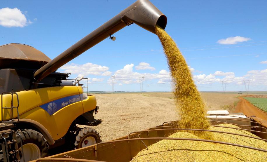 Estado mantém a 3ª posição no ranking nacional das exportações do setor em 2020. O Brasil somou US$ 100,81 bilhões no ano passado em vendas externas do agro, e o Paraná contribuiu com 13,18% do total.