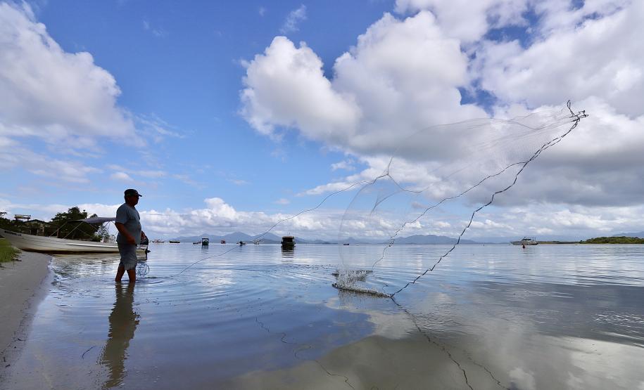 Empresa Portos do Paraná promove ações de comunicação e valorização da atividade, aproveitando o aumento no número de veranistas nas praias. A atividade garante renda a cerca de 6 mil famílias no litoral paranaense.