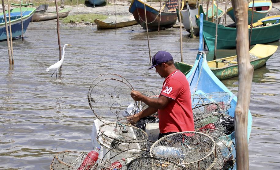 Empresa Portos do Paraná promove ações de comunicação e valorização da atividade, aproveitando o aumento no número de veranistas nas praias. A atividade garante renda a cerca de 6 mil famílias no litoral paranaense.