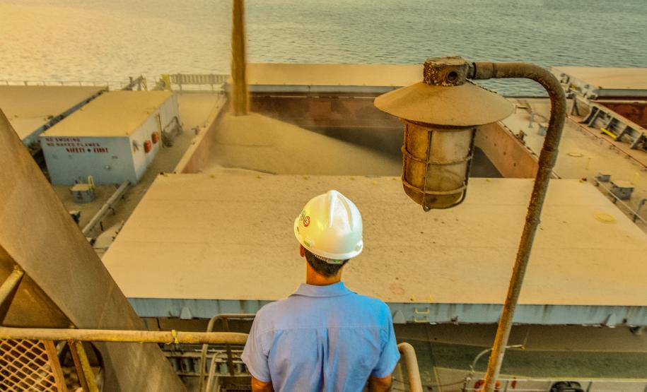 Comemorada no dia 28 de janeiro, a data ressalta o trabalho de mais de 3,1 mil homens e mulheres que atuam nos portos do Paraná. Enquanto muitos puderam desempenhar as funções remotamente, esses trabalhadores seguiram na ponta para garantir o movimento de cargas.