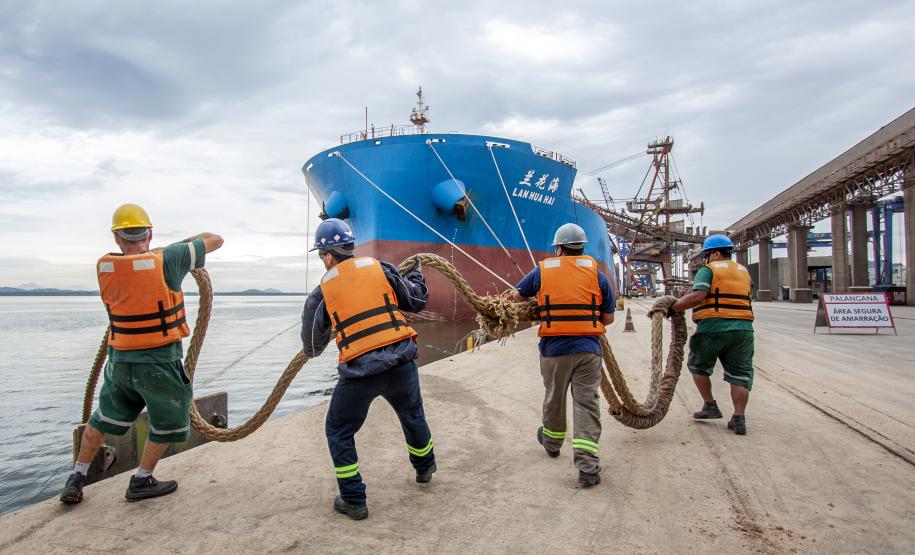 Comemorada no dia 28 de janeiro, a data ressalta o trabalho de mais de 3,1 mil homens e mulheres que atuam nos portos do Paraná. Enquanto muitos puderam desempenhar as funções remotamente, esses trabalhadores seguiram na ponta para garantir o movimento de cargas.