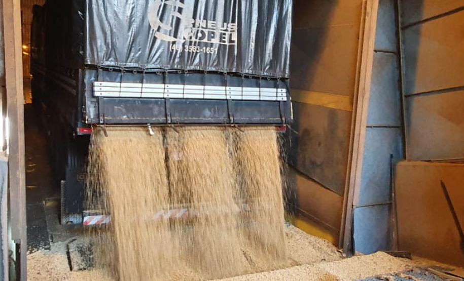 O movimento de caminhões que descarregam o produto nos terminais paranaenses se intensifica e deve chegar aos 2 mil veículos por dia, a partir da primeira semana de março. A expectativa é receber cerca de 2 milhões de toneladas no mês.