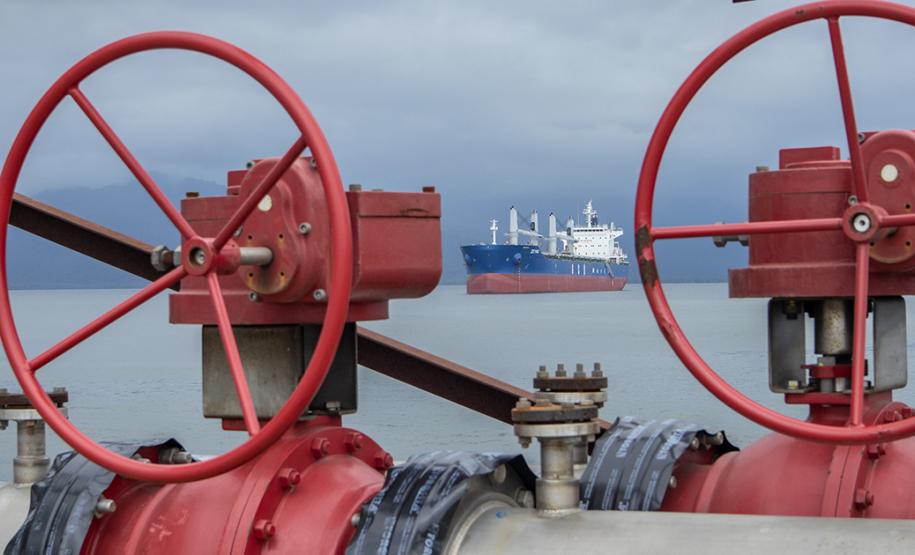 Em 31 dias foram quase 3,6 milhões de toneladas de cargas movimentadas, aumento de 4% em relação ao mesmo mês do ano passado. Apesar do grande volume de chuva, a alta foi registrada tanto na importação quanto na importação.
