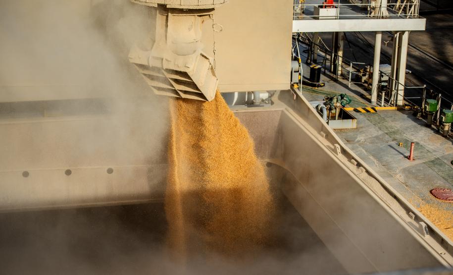Em 31 dias foram quase 3,6 milhões de toneladas de cargas movimentadas, aumento de 4% em relação ao mesmo mês do ano passado. Apesar do grande volume de chuva, a alta foi registrada tanto na importação quanto na importação.