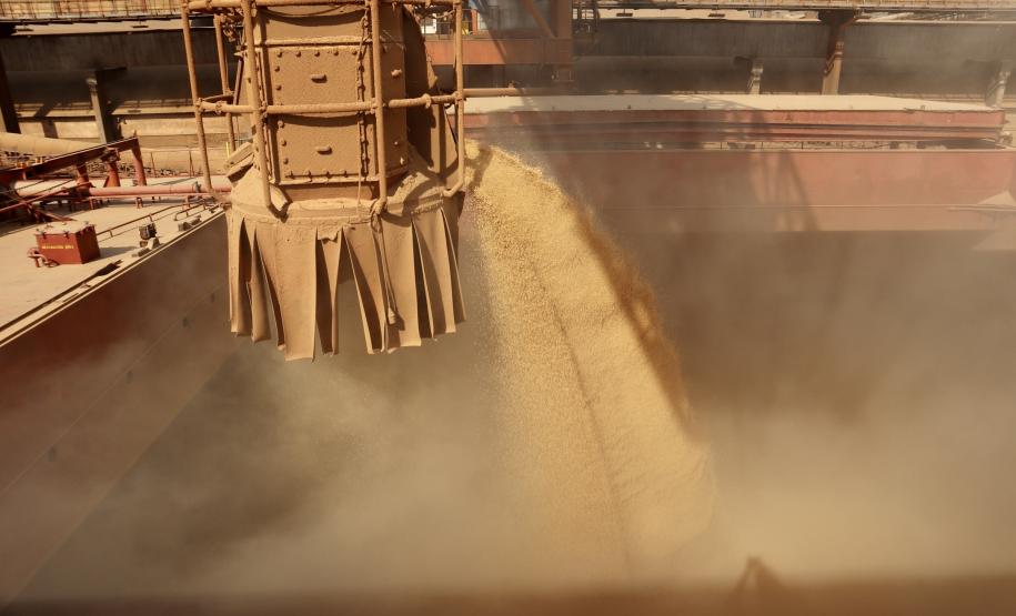 O movimento de caminhões que descarregam o produto nos terminais paranaenses se intensifica e deve chegar aos 2 mil veículos por dia, a partir da primeira semana de março. A expectativa é receber cerca de 2 milhões de toneladas no mês.