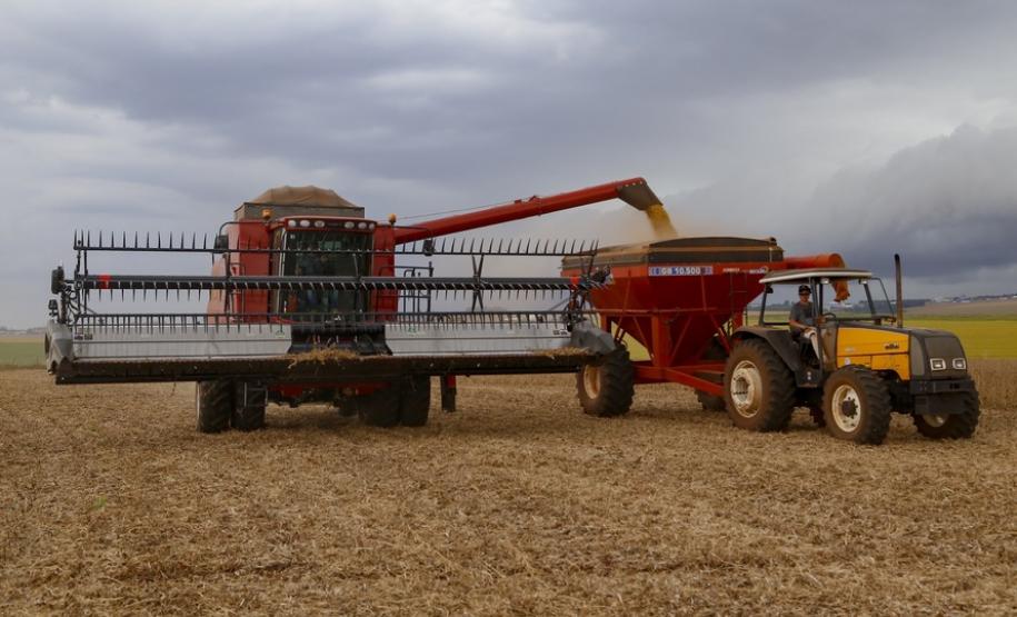 Destaque na série Paraná que Alimenta o Mundo, o grão é o principal produto do agro paranaense. Responde por 20% do Valor Bruto da Produção (VBP) e por 36,8% de tudo que o Estado exportou no ano passado. Estimativa da safra 2020/2021 é colher 20,4 milhões de toneladas da oleaginosa.