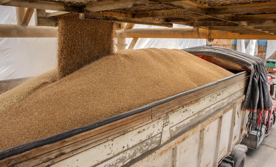 Com altas significativas na descarga de produtos dos segmentos de carga geral e granéis sólidos, os terminais de Paranaguá e Antonina movimentaram 18.262.189 toneladas, de janeiro a abril.