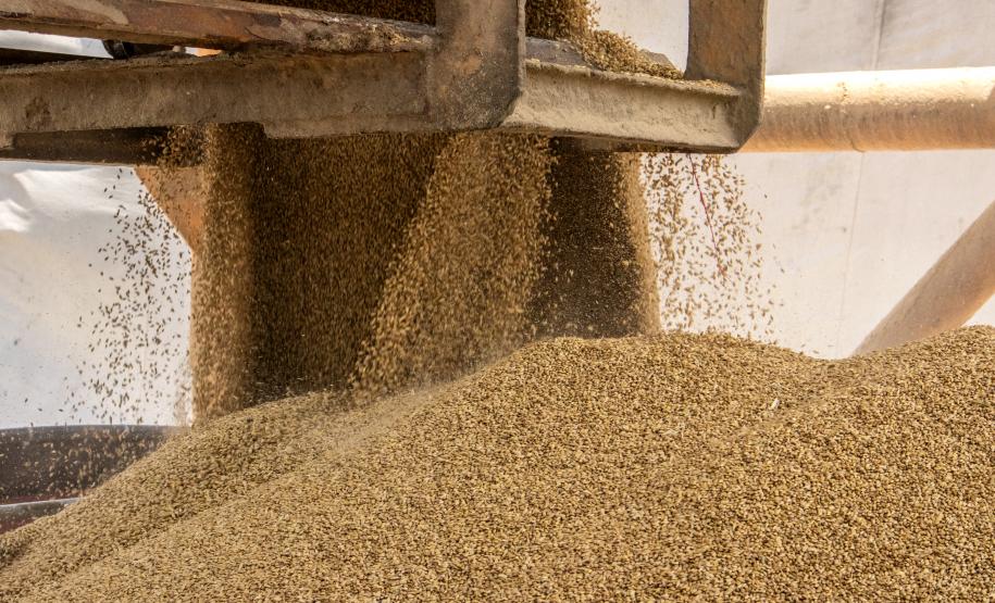 Com altas significativas na descarga de produtos dos segmentos de carga geral e granéis sólidos, os terminais de Paranaguá e Antonina movimentaram 18.262.189 toneladas, de janeiro a abril.