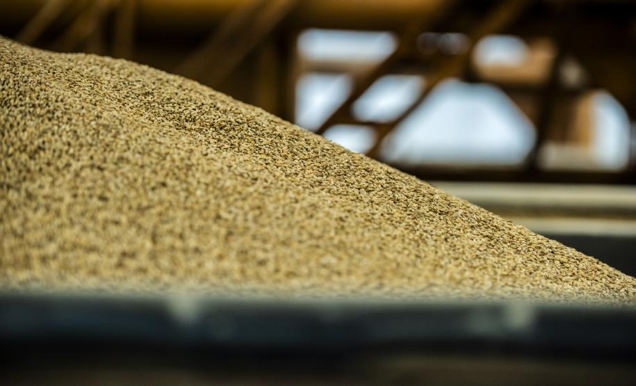 Com altas significativas na descarga de produtos dos segmentos de carga geral e granéis sólidos, os terminais de Paranaguá e Antonina movimentaram 18.262.189 toneladas, de janeiro a abril.