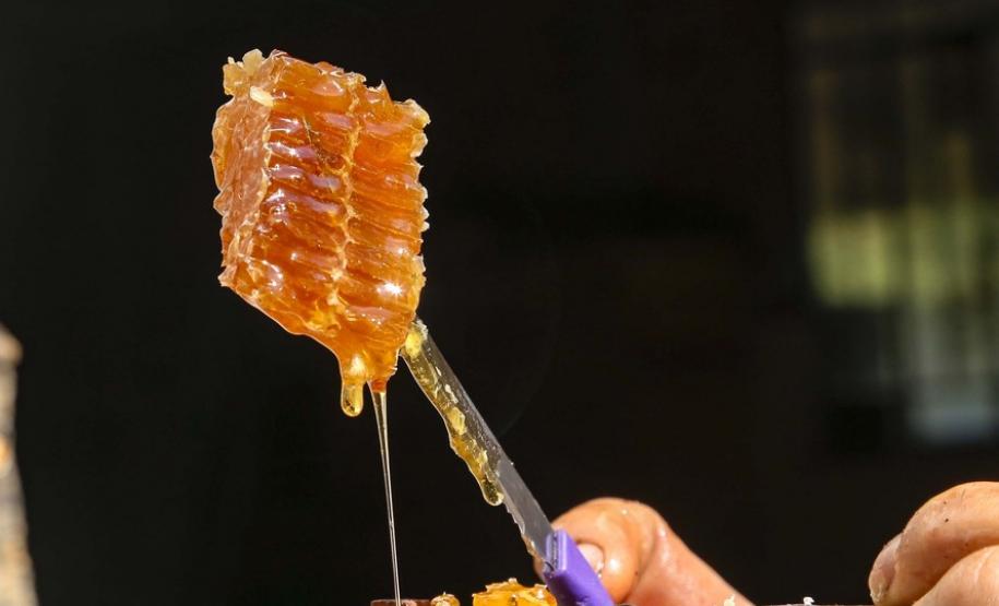 As exportações de mel, pelo Porto de Paranaguá, cresceram 31,65% neste primeiro quadrimestre, comparado com o período em 2020.