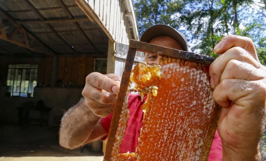 As exportações de mel, pelo Porto de Paranaguá, cresceram 31,65% neste primeiro quadrimestre, comparado com o período em 2020.