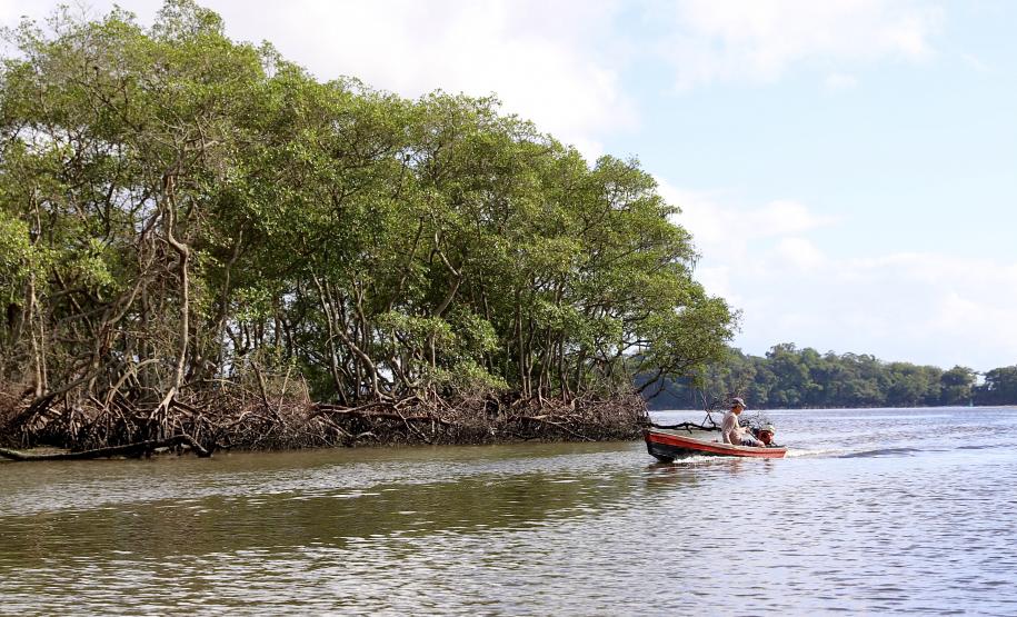Portos do Paraná reforça compromisso com os Oceanos