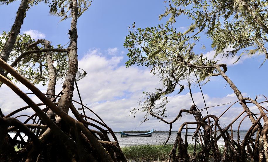 Portos do Paraná reforça compromisso com os Oceanos
