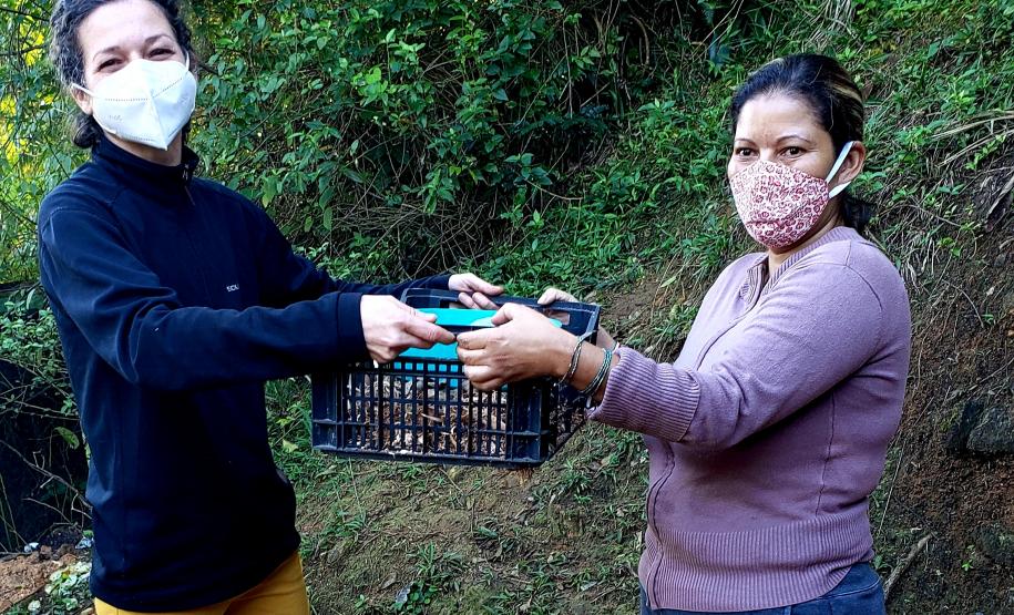 Projeto é gratuito, tem início com ensinamentos sobre compostagem e qualquer morador das comunidades isoladas das áreas de abrangência dos portos paranaenses pode participar